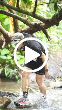 BIB:  <button type="button" onclick="openModal(27516772)" class="btn btn-primary btn-sm float-right" data-toggle="modal" data-target=".modal-high-quality">
                <i class="fa fa-download"></i> Download
                </button>